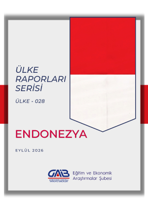 Ülke-028 Endonezya Ülke Raporu